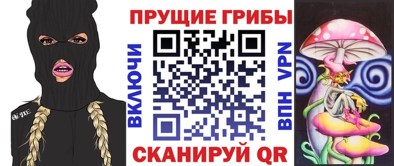 МЕГА зеркало сколько стоит Туймазы Галлюциногенные грибы Cubensis